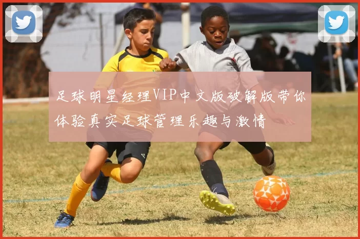 足球明星经理VIP中文版破解版带你体验真实足球管理乐趣与激情