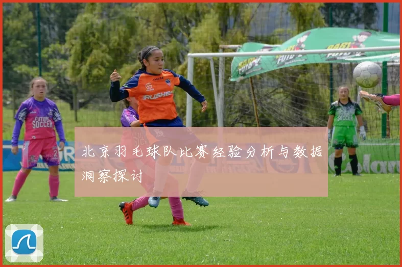 北京羽毛球队比赛经验分析与数据洞察探讨