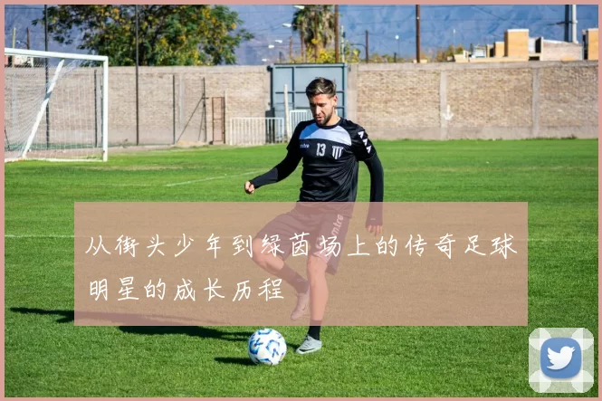 从街头少年到绿茵场上的传奇足球明星的成长历程