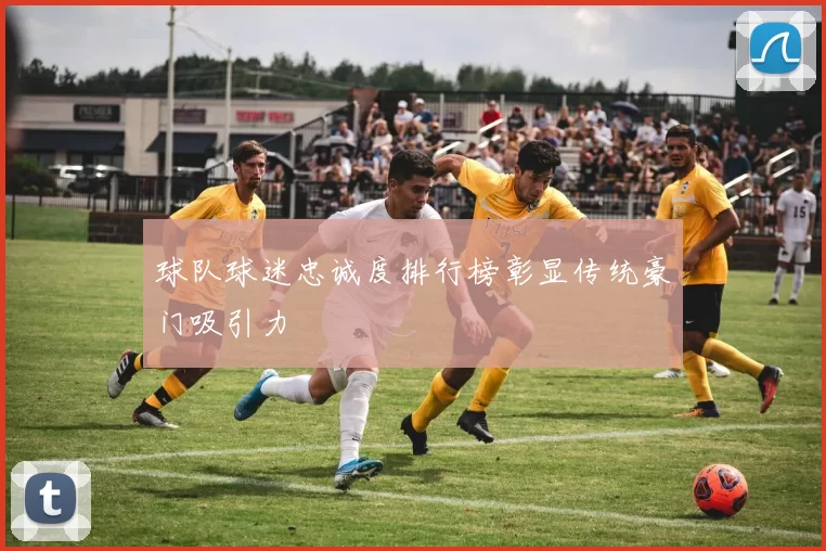 球队球迷忠诚度排行榜彰显传统豪门吸引力