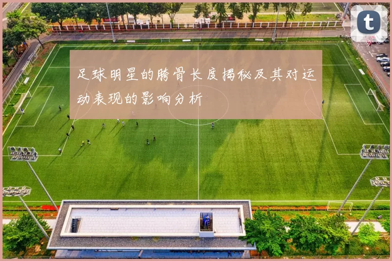 足球明星的胯骨长度揭秘及其对运动表现的影响分析