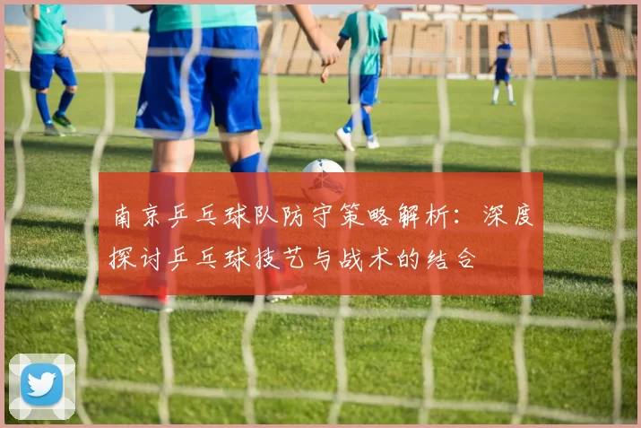 南京乒乓球队防守策略解析：深度探讨乒乓球技艺与战术的结合
