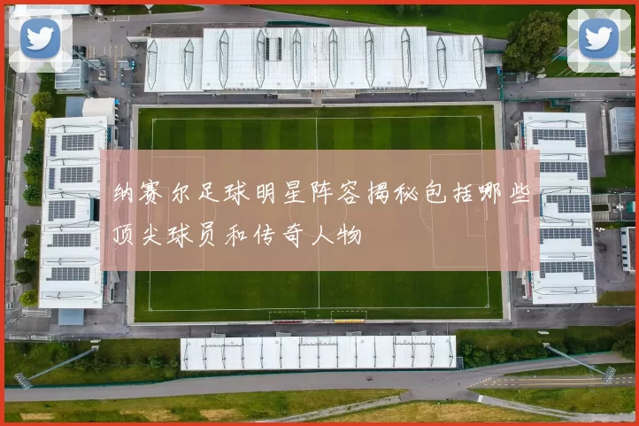 纳赛尔足球明星阵容揭秘包括哪些顶尖球员和传奇人物