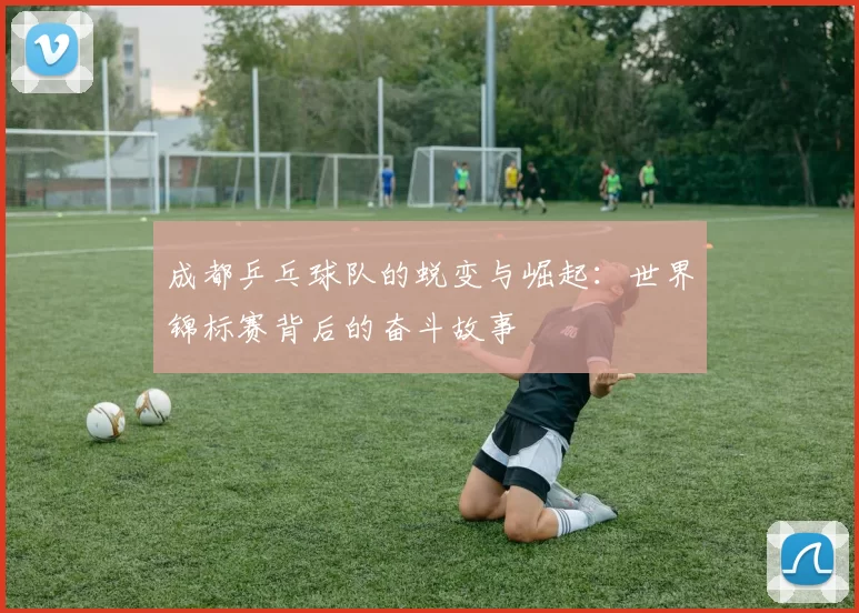 成都乒乓球队的蜕变与崛起：世界锦标赛背后的奋斗故事