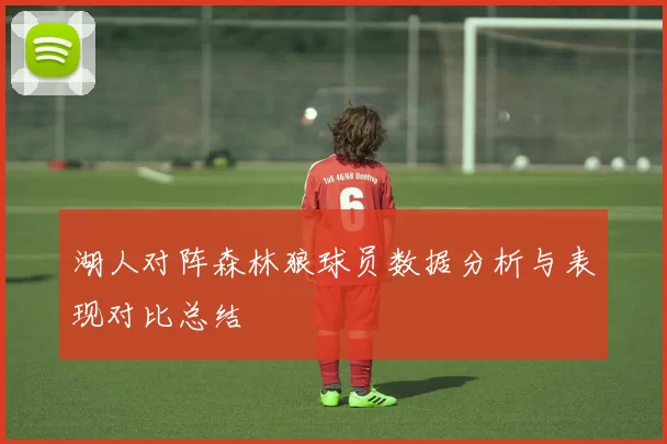 湖人对阵森林狼球员数据分析与表现对比总结