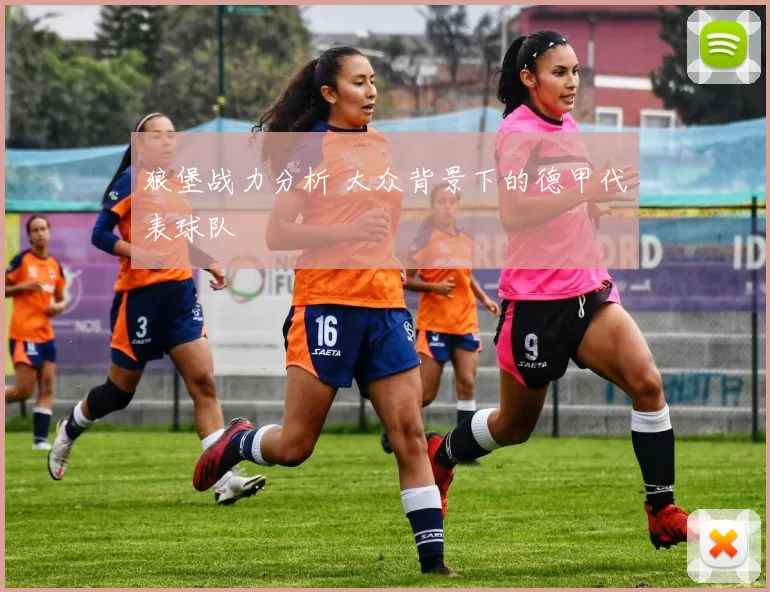 狼堡战力分析 大众背景下的德甲代表球队